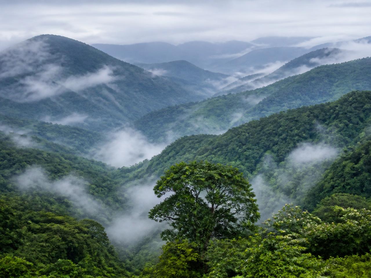 Leopard Rock, Vumba